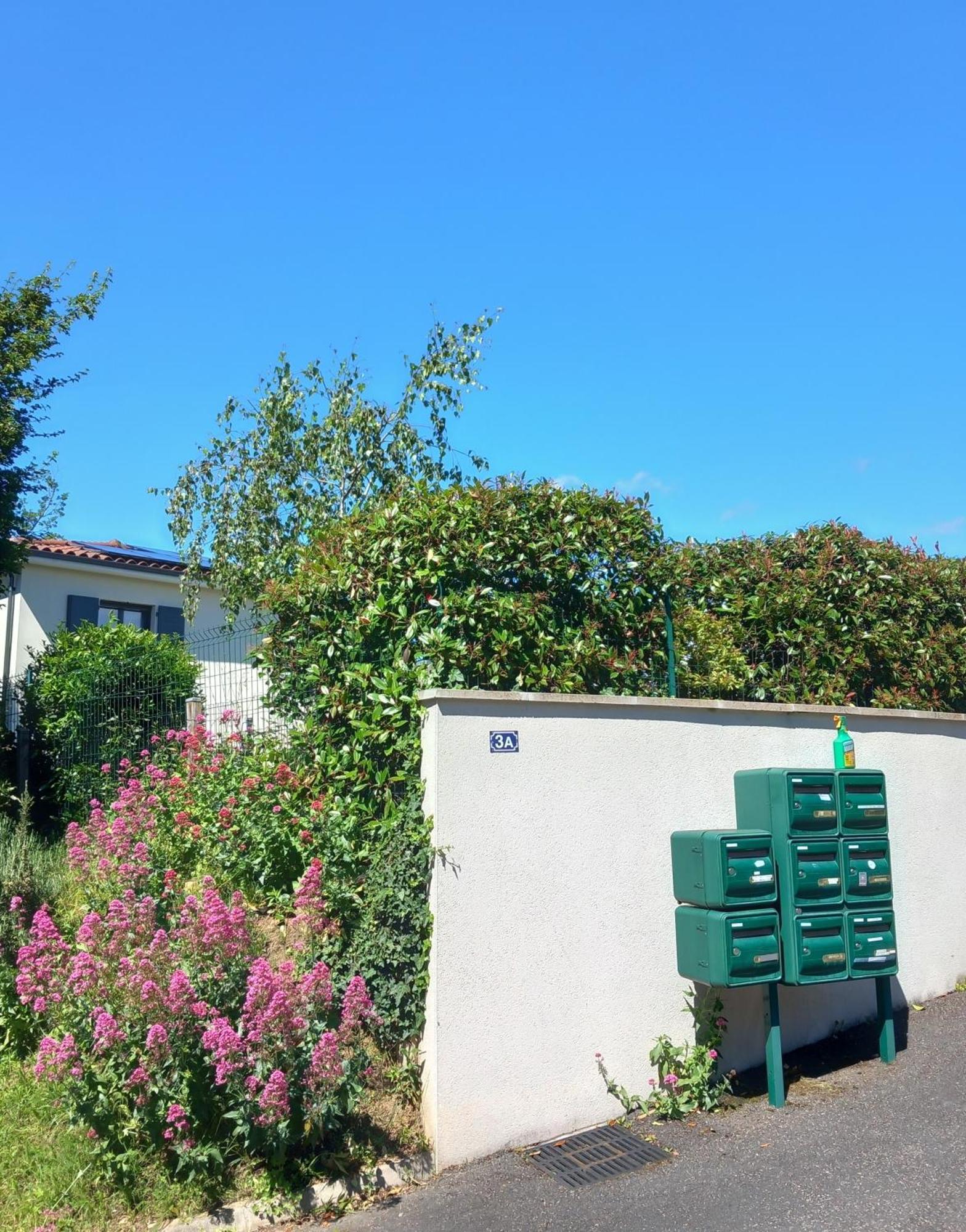L'Olivier Apartment Mornant Exterior photo